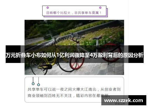 万元折叠车小布如何从1亿利润骤降至4万盈利背后的原因分析